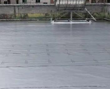 白玉测漏水电话